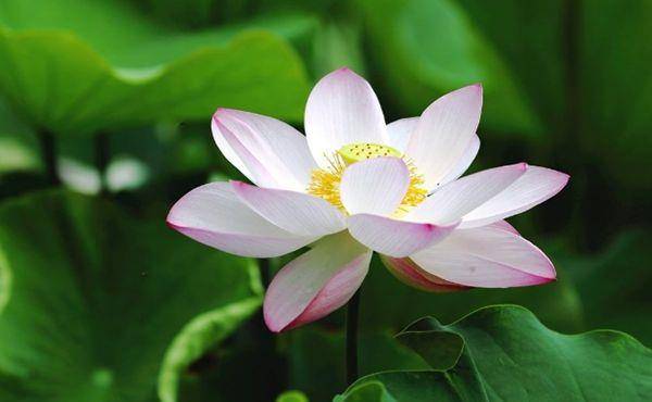 Kết Quả Trắc Nghiệm