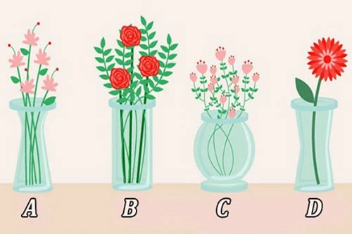 Hướng dẫn tham gia trắc nghiệm